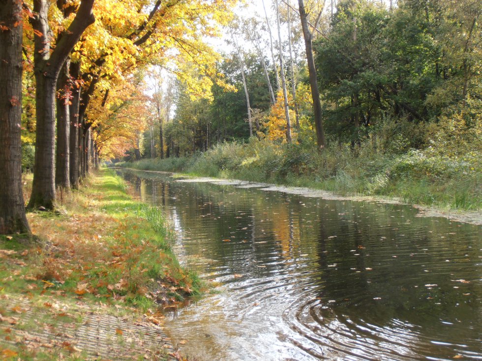 Herfstwandeling Wijboschbroek Schijndel